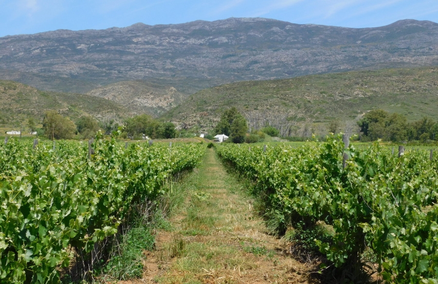 Commercial Property for Sale in Robertson Rural Western Cape